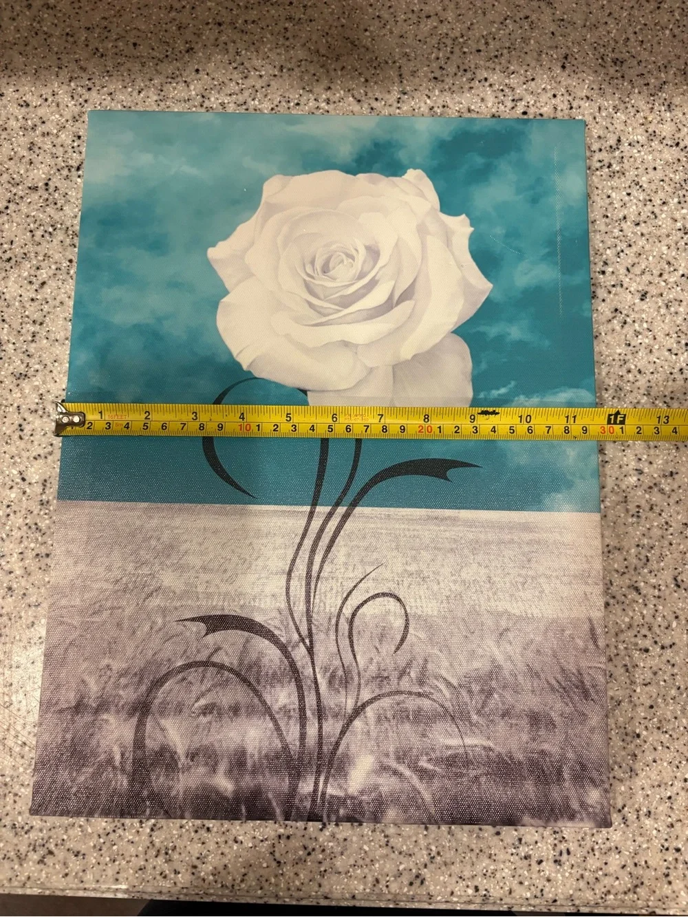 Teal and white rose canvas wall art features a detailed white blossom